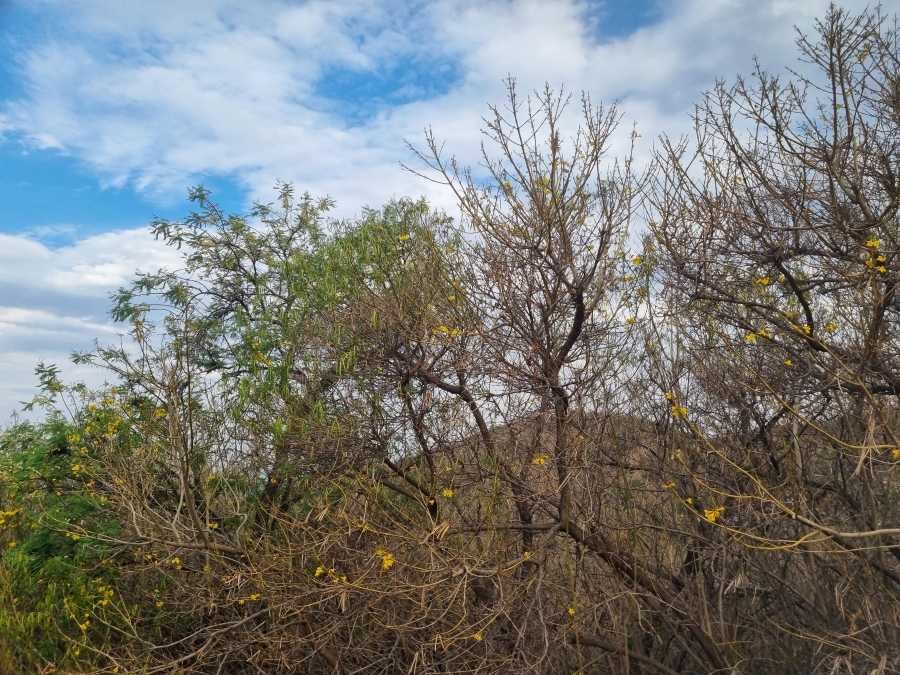 0 Bedroom Property for Sale in Cashan North West